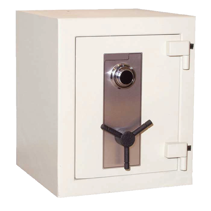 Amsec TL15 Burglary and 2-Hour Fire Safe CE1814