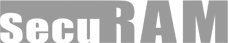 Securam Logo